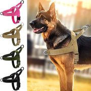 Pettorina tattica antideflagrante per trazione cani Collare di grandi dimensioni