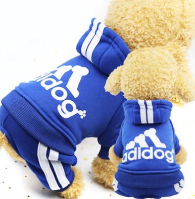 Abbigliamento caldo e casual per cani