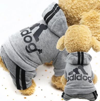 Abbigliamento caldo e casual per cani