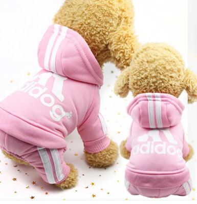 Abbigliamento caldo e casual per cani