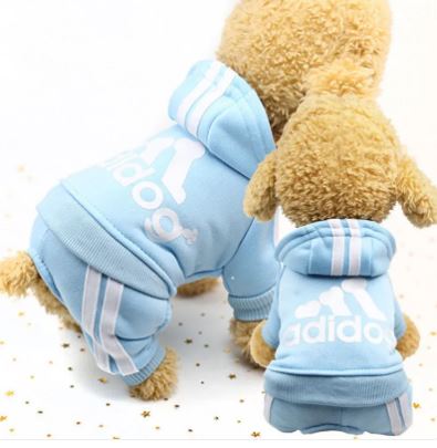 Abbigliamento caldo e casual per cani