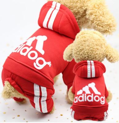 Abbigliamento caldo e casual per cani