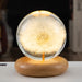 LED Night Light Flower Crystal Ball Children Night Lamp with Woodern Base Bedroom Ambient Light Creative Gift Night Light