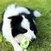 Phedgehog Shape Dog Toy Leaking Food Toys for Small Large Dogs Cat Chewing Toys Pet Tooth Cleaning Indestructible Puppy Toys Ball Molar Tooth Cleaning Stick