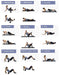 Yoga Column Peanut Ball EPP Foam Shaft