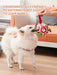 Dog Soccer Balls Toy with Sraps Halloween Christmas Gift for Pets Puppy Birthday Toy Interactive Toys for Tug of War Water Toys