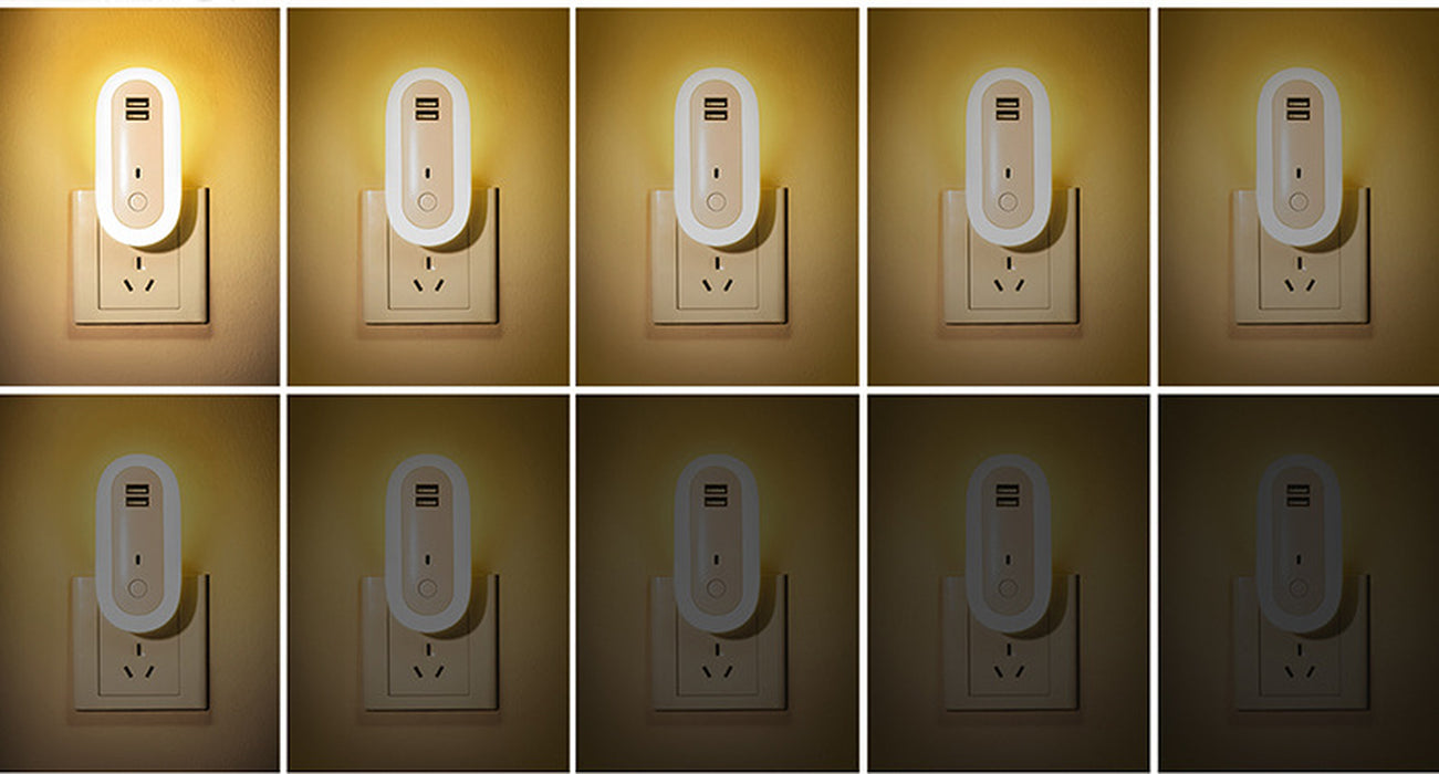 Oval Small Night Lamp with Dual USB Charging Port Remote Control Timing Plug-In Wall
