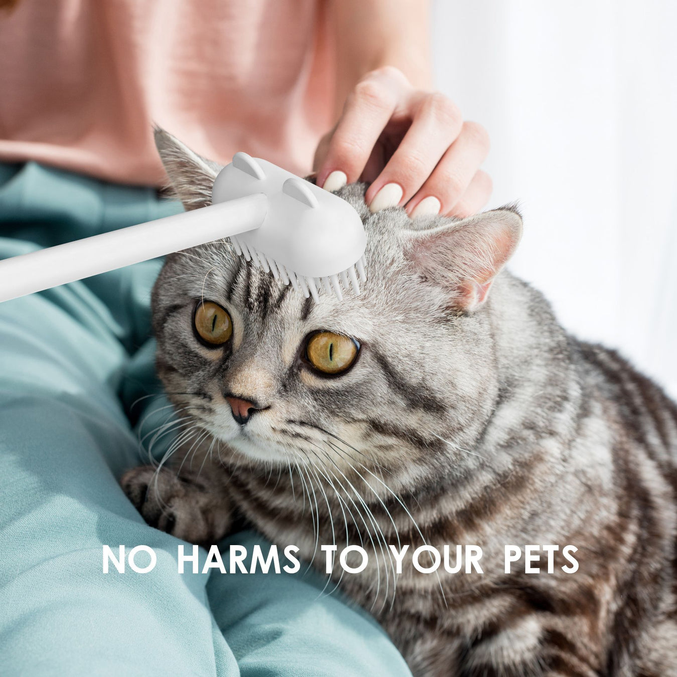 Pet Products
