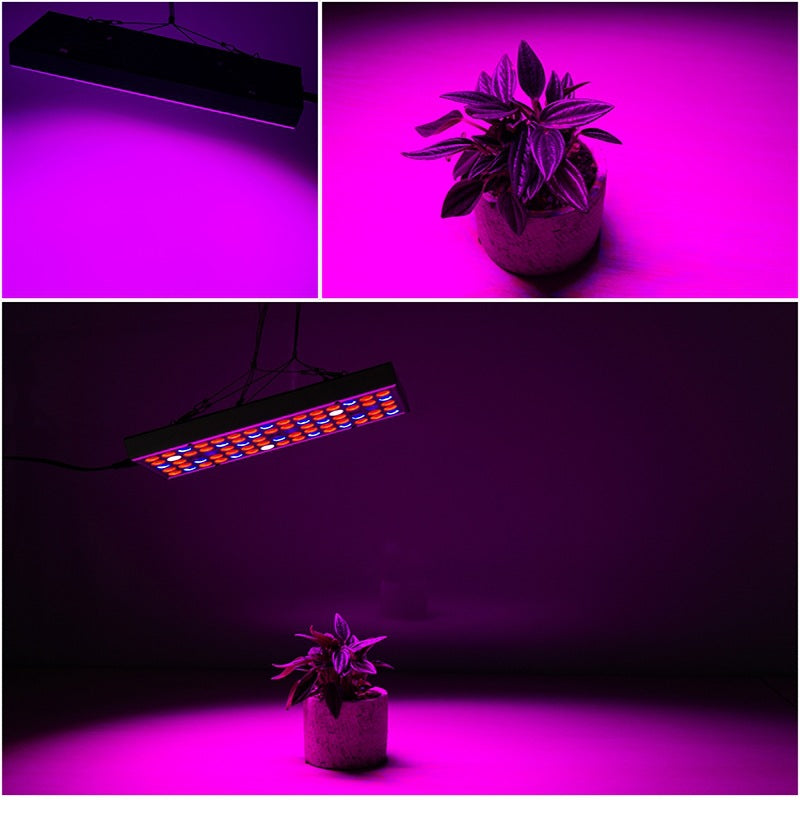 LED Plant Supplement Light for Growing Seedlings in Greenhouses