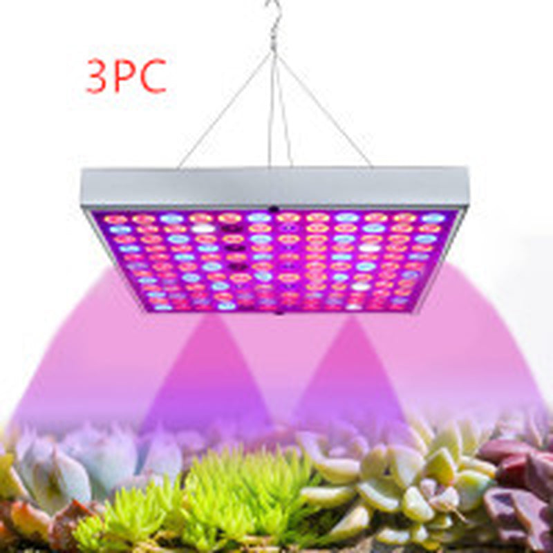 LED Plant Supplement Light for Growing Seedlings in Greenhouses