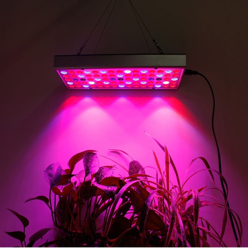 LED Plant Supplement Light for Growing Seedlings in Greenhouses