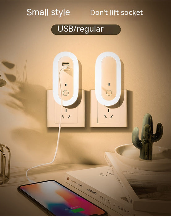 Oval Small Night Lamp with Dual USB Charging Port Remote Control Timing Plug-In Wall