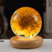 LED Night Light Flower Crystal Ball Children Night Lamp with Woodern Base Bedroom Ambient Light Creative Gift Night Light