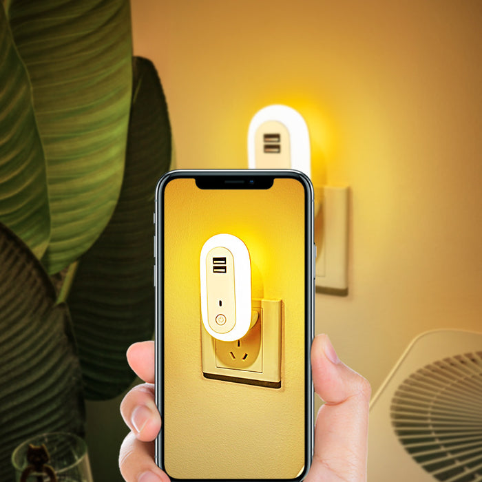 Oval Small Night Lamp with Dual USB Charging Port Remote Control Timing Plug-In Wall