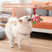 Dog Soccer Balls Toy with Sraps Halloween Christmas Gift for Pets Puppy Birthday Toy Interactive Toys for Tug of War Water Toys